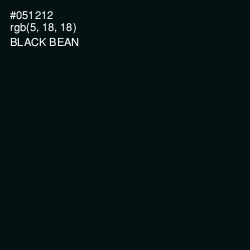 #051212 - Black Bean Color Image